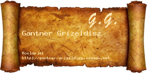 Gantner Grizeldisz névjegykártya
